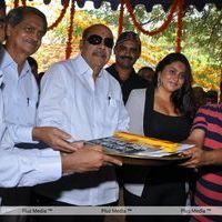Namitha New Movie Opening - Pictures | Picture 122371